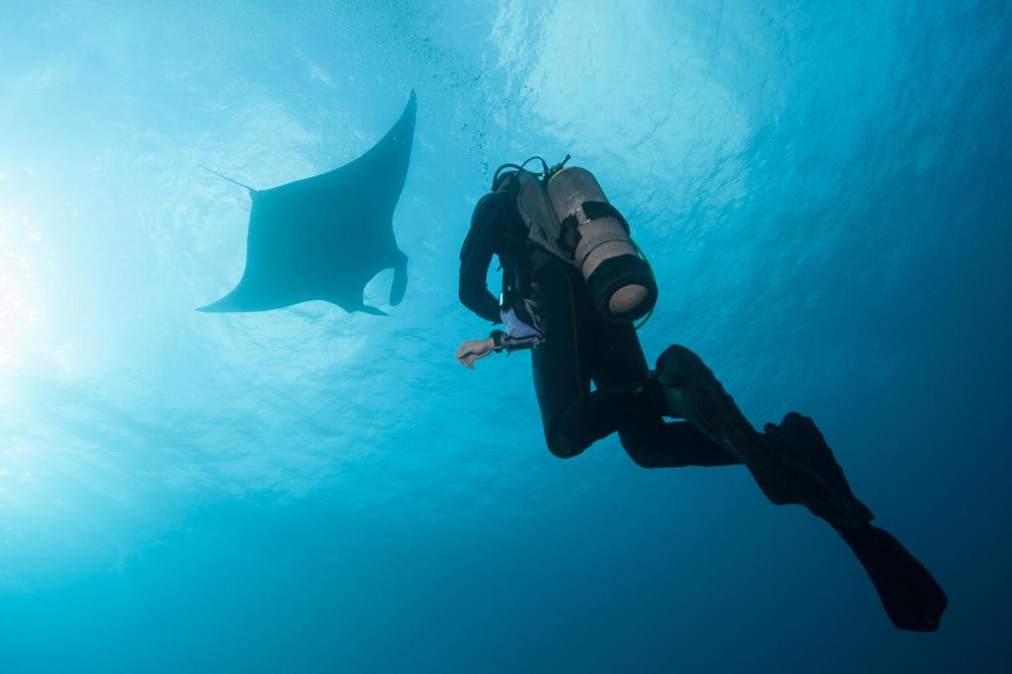 Plataran Komodo Resor Labuan Bajo